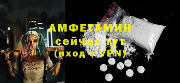 индика Рославль
