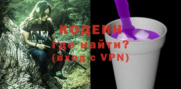 индика Рославль