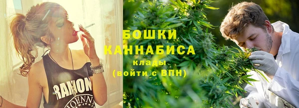 индика Рославль