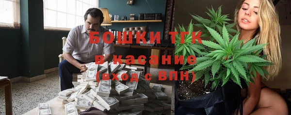 индика Рославль