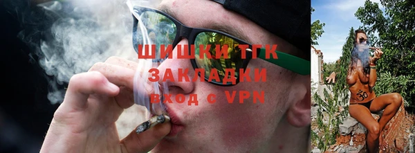 индика Рославль