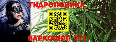 стафф Заводоуковск