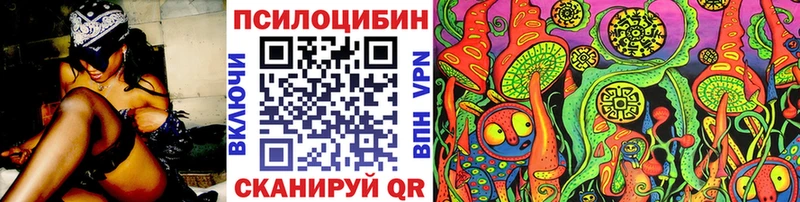 Псилоцибиновые грибы Cubensis  Сертолово 