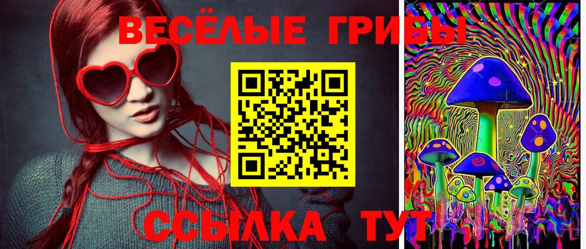 Сертолово  Галлюциногенные грибы GOLDEN TEACHER  Вход с VPN 